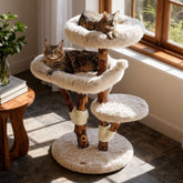 Sopapets Aesthetic Cat Tree top bed, a spacious nap spot for large cats.