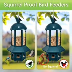 Sorflife six openings design enables multiple birds to feed simultaneously.