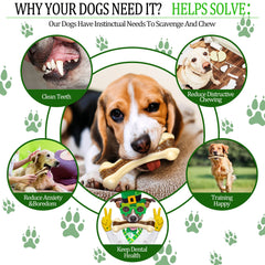 Sosation 30-60lbs toy supports medium-large chewers during teething.