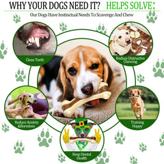 Sosation pack de dos huesos curvos, opción versátil para perros activos.