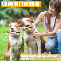 Sosation puppy-teething bone toy demonstrates chew surface for teething relief and jaw exercise.