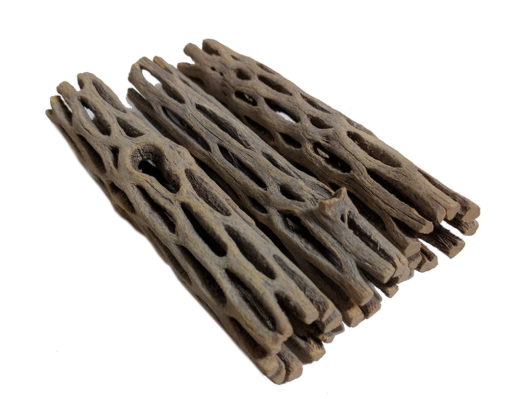 SoShrimp natural cholla wood decor shows 4-inch pieces creating natural hiding spots for shrimp.