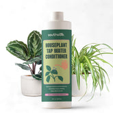 Southside Plants Condicionador de agua para plantas interiores, mejora el riego