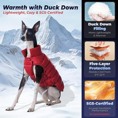 SPACE LION dog puffer jacket red back view highlights wind protection during winter strolls.