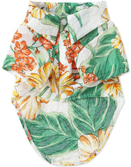 Spajoy Hawaii dog shirt worn by a small dog showing breezy comfort on warm days.
