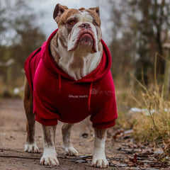 Spark Paws hoodie interior shot highlights calming fleece warmth.
