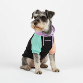 Spark Paws dog hoodie butter-stretch fabric close-up showing flexible comfort