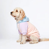 Spark Paws Dog Hoodie butter-stretch fabric for flexible, comfy wear.