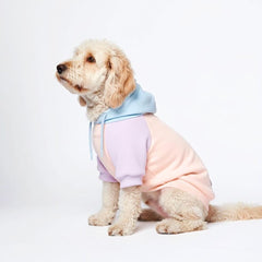 Spark Paws Dog Hoodie butter-stretch fabric for flexible, comfy wear.