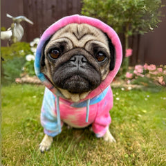 Spark Paws dog hoodie interior features calming fleece for cozy warmth.