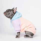 Spark Paws Dog Hoodie front view highlights cotton candy fabric and flexible four-way stretch for comfort.