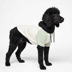 Spark Paws dog hoodie front view shows olive cream butter-stretch fabric and snug fit