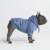 Spark Paws dog hoodie front view in slate blue for stylish warmth