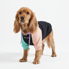 Spark Paws dog hoodie front view highlights butter-stretch fabric for a comfortable, flexible fit.