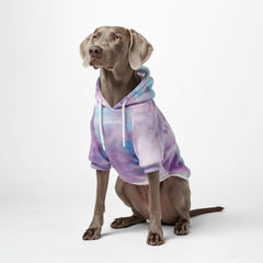 Spark Paws dog hoodie front view with retro sky dye and effortless mobility.
