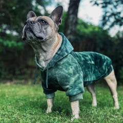 Spark Paws hoodie with leash opening enables easy walk attachment