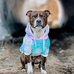 Spark Paws dog hoodie features leash opening for easy harness attachment
