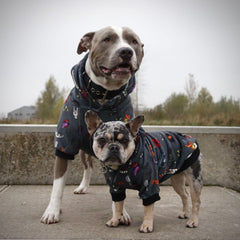 Spark Paws Dog Hoodie leash-opening for quick harness attachment.