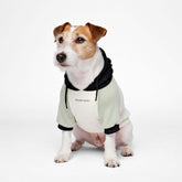 Spark Paws Dog Hoodie olive cream front view offers warmth and flexible fit for dogs