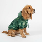 Spark Paws dog hoodie close-up shows butter-stretch fabric for flexible movement