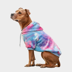 Spark Paws dog hoodie shows soft butter-stretch fabric for flexible movement.