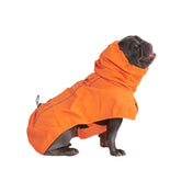 Spark Paws raincoat shows full-coverage design for all sizes during rainy walks.