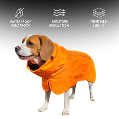 Spark Paws raincoat with reflective strips enhances nighttime visibility for safer outings.