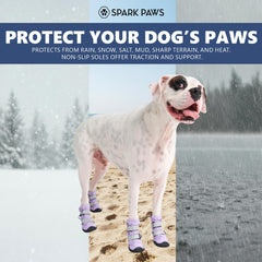 Spark Paws lilac dog shoes with reflective straps for visibility at dawn.