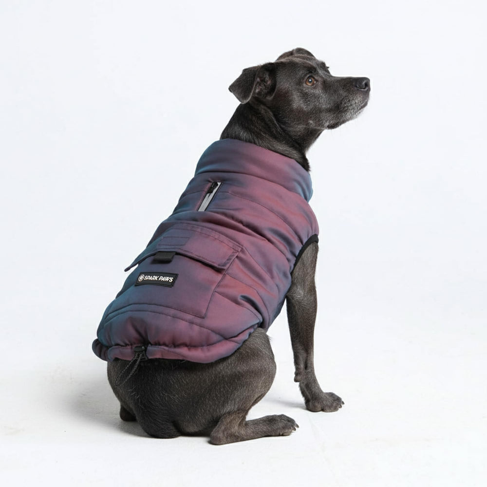 Spark Paws Cosmic dog winter jacket front view shows warm fleece-lined protection for cold walks