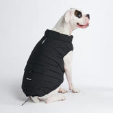 Spark Paws dog winter jacket front view showing warm fleece for cold walks.