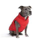 Spark Paws dog winter jacket front view with warm fleece interior for cold-weather comfort.