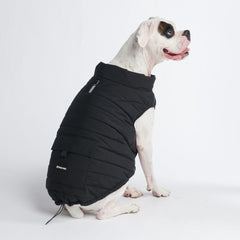 Spark Paws dog winter jacket front view showing warm fleece for cold walks.