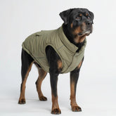 Spark Paws dog winter jacket olive front view keeps dogs warm on cold walks