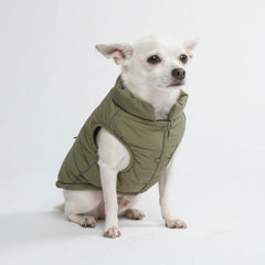 Spark Paws olive dog winter jacket front view showing warm fleece lining for chilly walks.