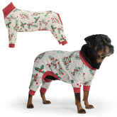Spark Paws Mistletoe front view shows cozy fit for all breeds