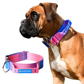 Spark Paws Tactical Collar with Handle in Snow Cone offers secure control for large dogs.