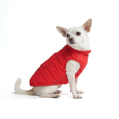 Spark Paws winter jacket front view shows warm fleece interior for chilly walks.