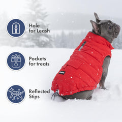 Spark Paws windproof exterior protects a dog from cold gusts during strolls.
