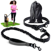 SparklyPets hands free dog leash with reflective stitches for safer evening walks.