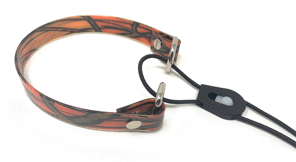 Sparky Pet Co Surefit ECollar Strap with bungee closure demonstrates secure fit during outdoor play.