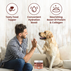 Special Breed bone broth powder poured into a pet bowl for hydration and flavor
