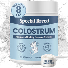 Special Breed bovine colostrum powder container front showing premium packaging and grass-fed promise