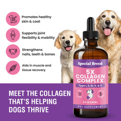 Special Breed collagen for dogs in motion showcasing flexible movement and joint comfort.
