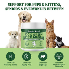 Dog enjoying joint-support benefits with Special Breed mussel powder