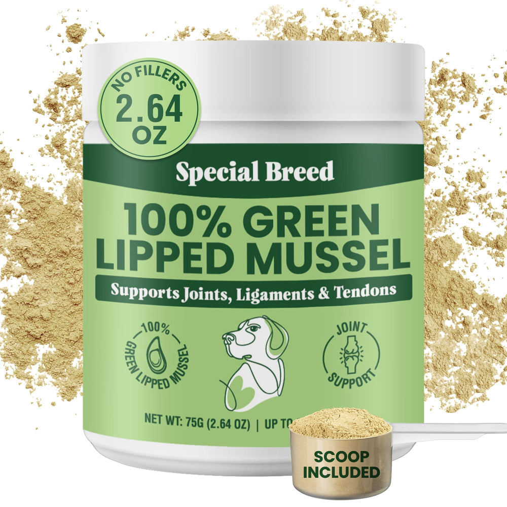 Special Breed green lipped mussel powder bottle closeup for natural joint support.