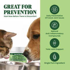 Special Breed green lipped mussel powder on dog meal for joint support.