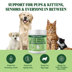 Special Breed powder being mixed into dog food for easy daily feeding.