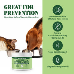 Special Breed green-lipped mussel powder packaging showing NZ origin and clean ingredients