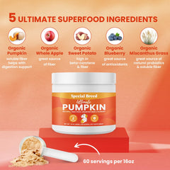 Special Breed Ultimate Pumpkin shows organic pumpkin on label for fiber nutrition.