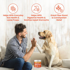 Special Breed Ultimate Pumpkin Powder ingredients showcase organic pumpkin and berries for digestion support.